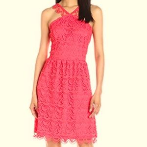 Kensie Womens Crochet A-line Sheath lace cocktail formal neon Dress coral Pink L
